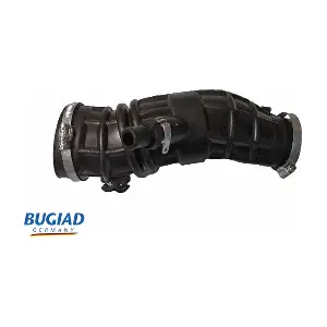 BIH18149 BUGIAD