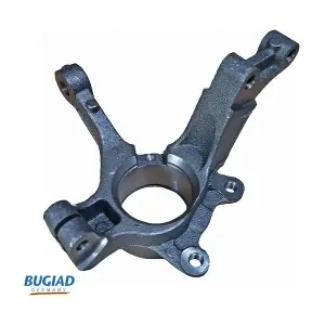 BSP25460 BUGIAD