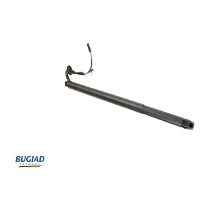 BRD50734 BUGIAD