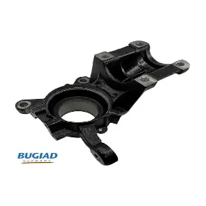 BSP25290 BUGIAD