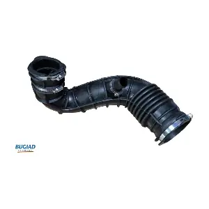 BIH18120 BUGIAD