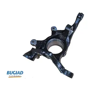 BSP25448 BUGIAD