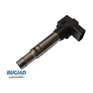 BIC19826 BUGIAD
