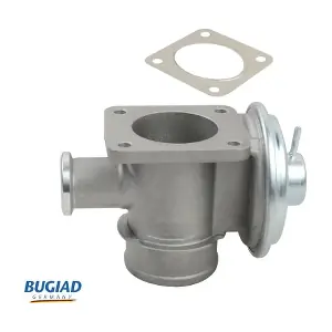 BGR13091 BUGIAD