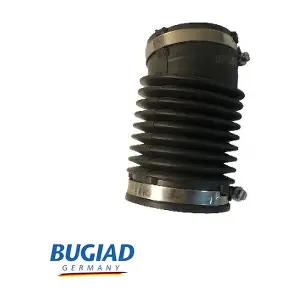 BIH18156 BUGIAD