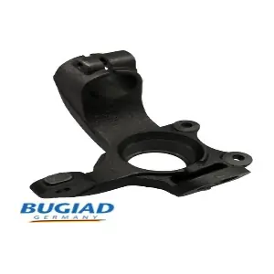 BSP25321 BUGIAD