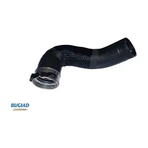 BUGIAD 81720