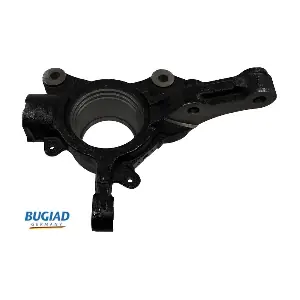 BSP25304 BUGIAD