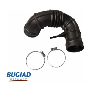 BIH18147 BUGIAD
