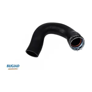 81711 BUGIAD