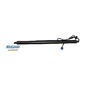 BRD50787 BUGIAD