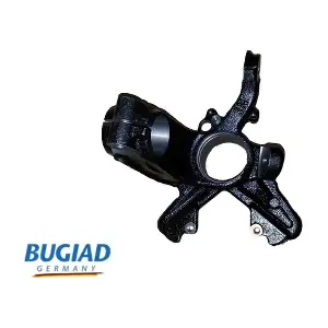 BSP20674 BUGIAD