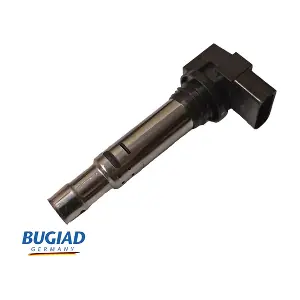 BIC19822 BUGIAD