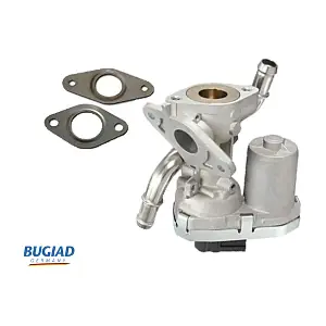 BGR13061 BUGIAD