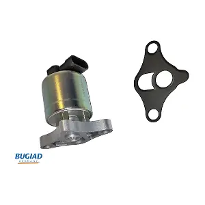 BGR13028 BUGIAD