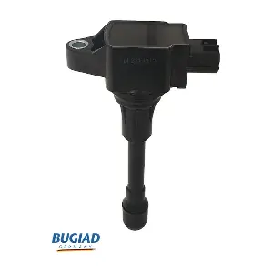 BIC19813 BUGIAD