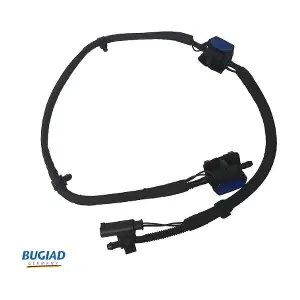 BHN12625 BUGIAD