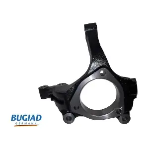 BSP25172 BUGIAD