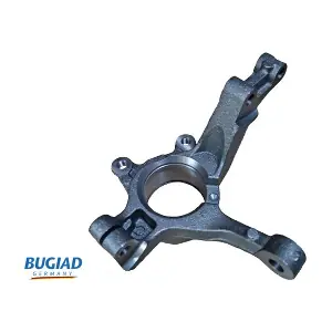BSP25461 BUGIAD