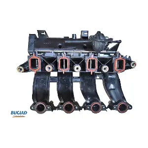 BIM17018 BUGIAD