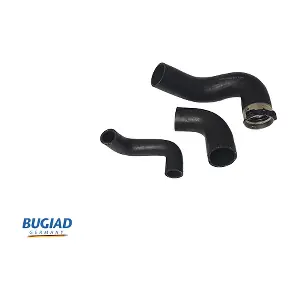 BUGIAD 81719
