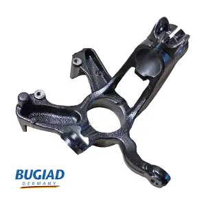 BSP25553 BUGIAD