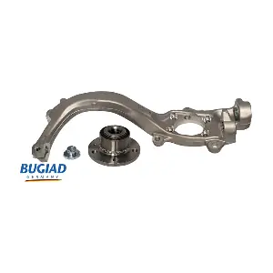 BSP25138PROKIT BUGIAD