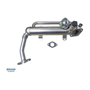 BGR13101 BUGIAD