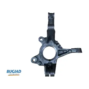 BSP25370 BUGIAD