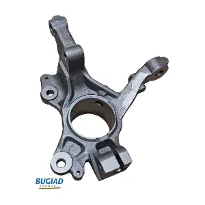 BSP25480 BUGIAD