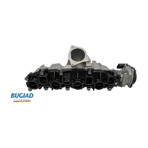 BIM17010 BUGIAD