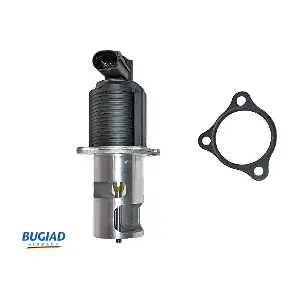 BGR13046 BUGIAD