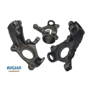 BSP25324 BUGIAD