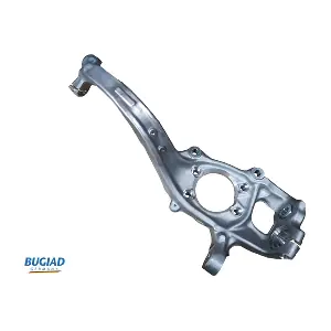 BSP25398 BUGIAD