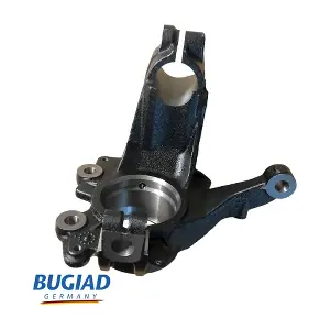 BSP25528 BUGIAD