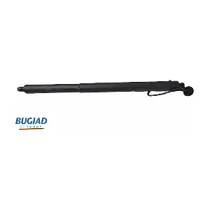 BRD50759 BUGIAD