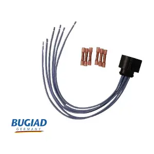 BCS52126 BUGIAD