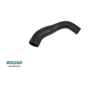 BUGIAD 88619