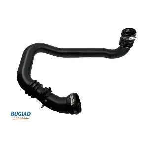 81998 BUGIAD