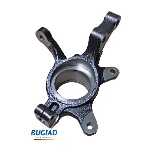BSP25519 BUGIAD