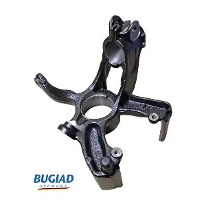 BSP25554 BUGIAD