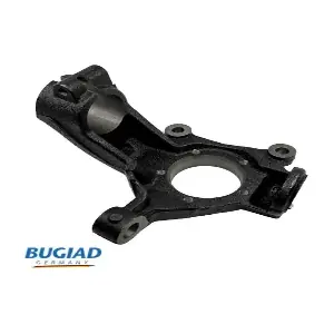 BSP25320 BUGIAD