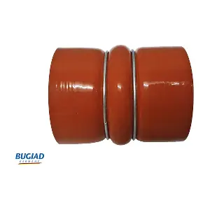 BUGIAD 82280