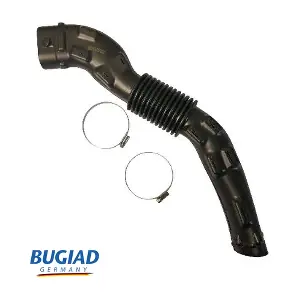 BIH18138 BUGIAD