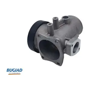 BGR13081 BUGIAD