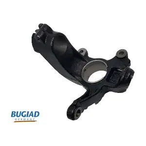 BSP25310 BUGIAD