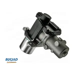 BUGIAD BGR13071