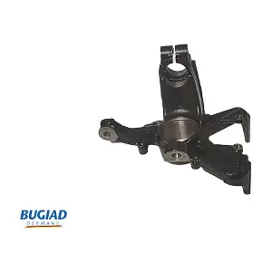 BSP20013 BUGIAD