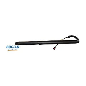BRD50789 BUGIAD
