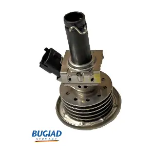 BAB71513 BUGIAD